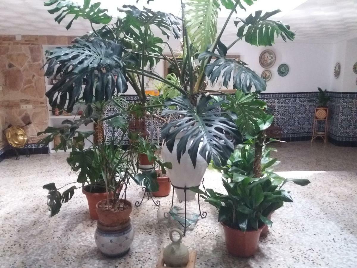 Appartamento Casa Labradora Herencia Esterno foto